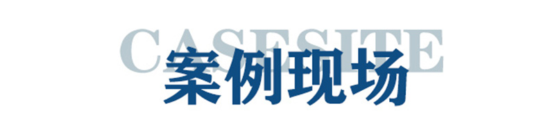 案例